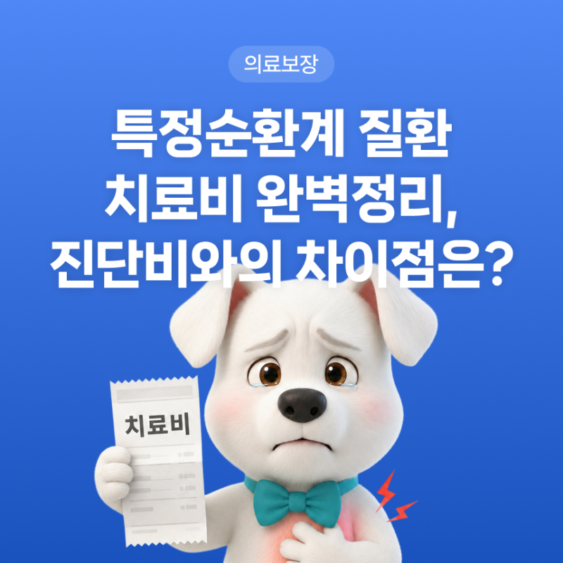 특정 순환계질환 치료비 완벽 정리, 진단비와의 차이점은?