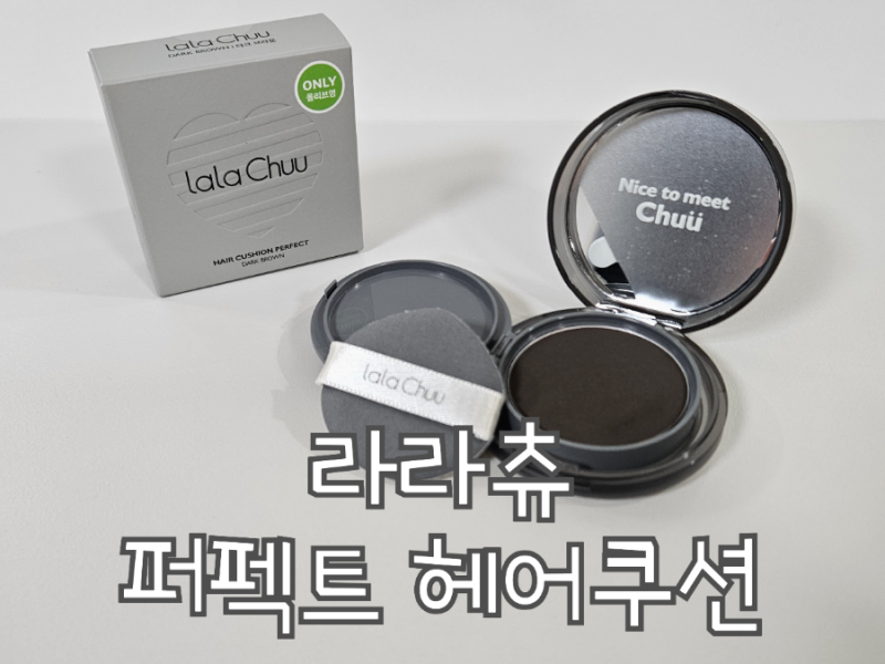 [라라츄] 헤어쿠션 :: M자 헤어라인 커버 후기