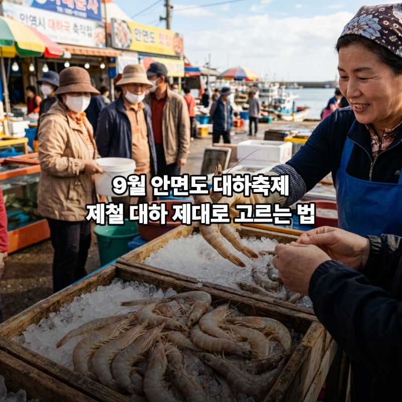 9월 안면도 대하축제 인파 피하고 제철 대하 제대로 고르는 법
