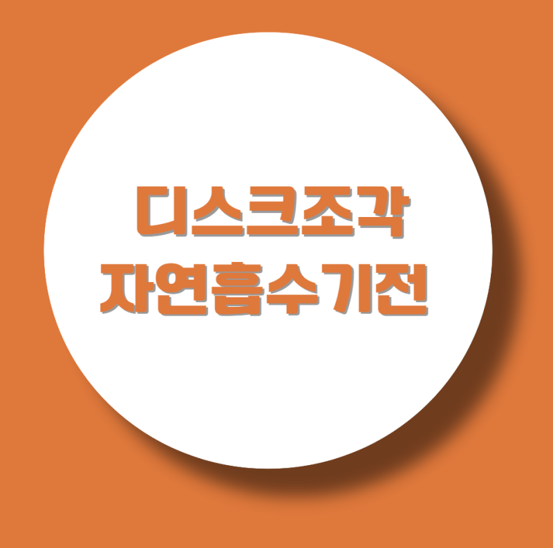 내 몸의 면역 세포가 조각난 디스크를 녹이는 디스크조각자연흡수기전, 정말 저절로 나을까