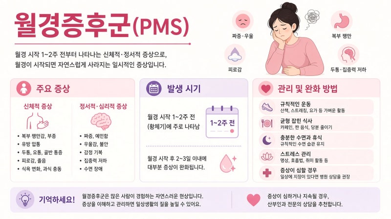 월경전증후군(PMS) 총정리: 증상·원인·치료, 약 없이 시작하는 순서