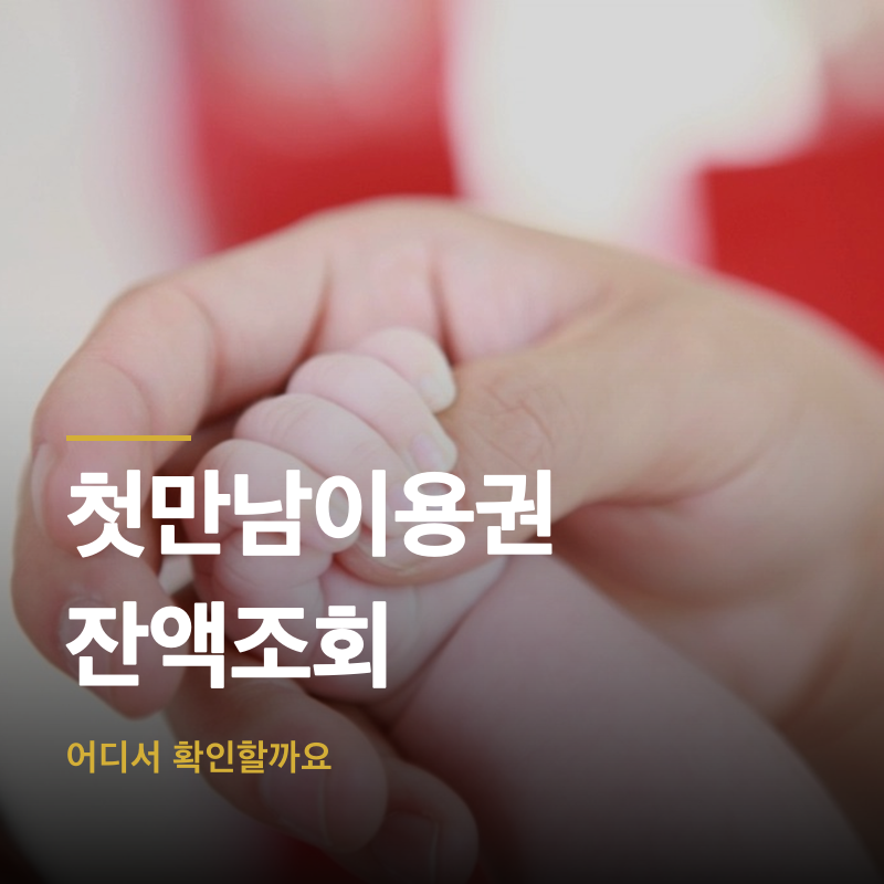 첫만남이용권 잔액조회, 어디서 확인할까요