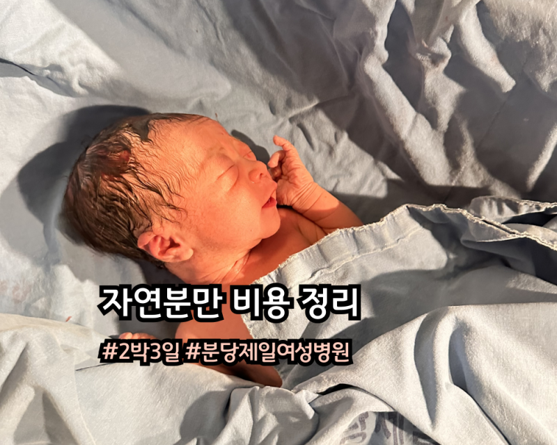 P. 출산 : 분당제일여성병원 자연분만 2박 3일 비용 총정리, 할인팁, 보험 실비청구, 성남시 임....