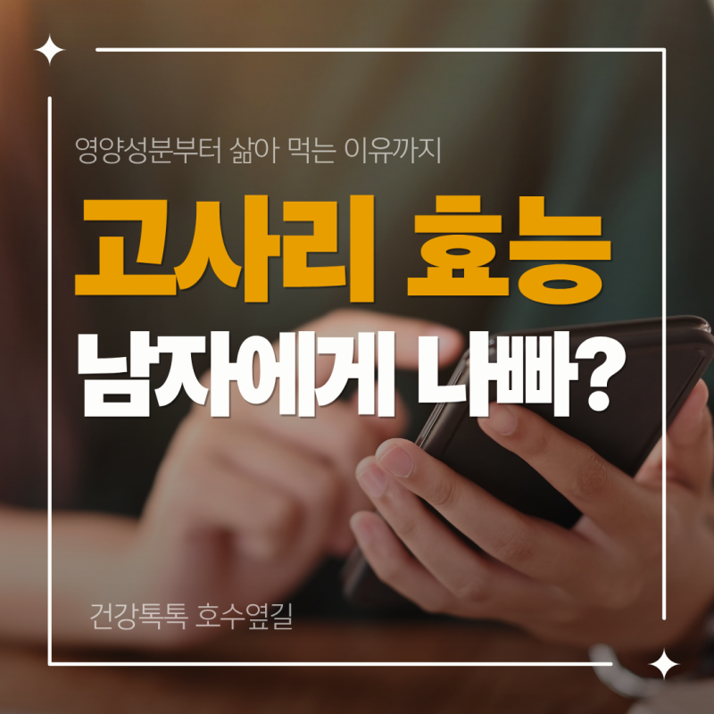 고사리 효능, 무엇이 좋을까? 영양성분부터 삶아 먹는 이유까지