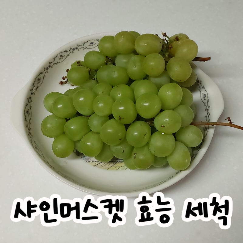 샤인머스켓 효능 올리기 위해 껍질째 먹는 세척법과 보관법