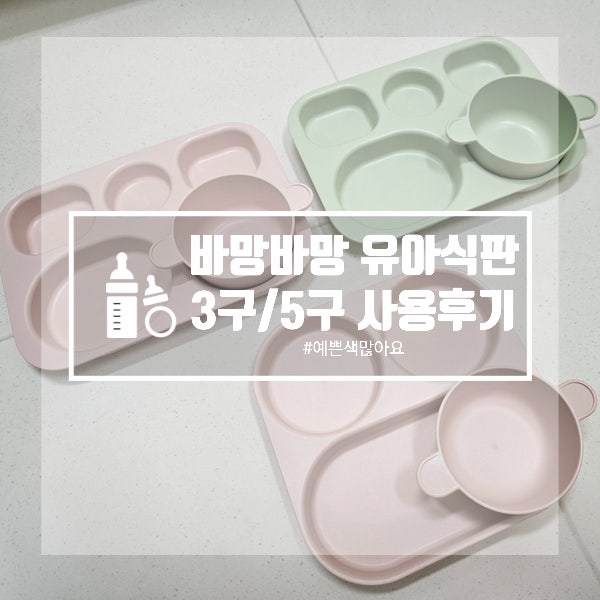 유아식판 고민 끝 바망바망 식판 내돈내산 후기 3구 5구 차이 총정리