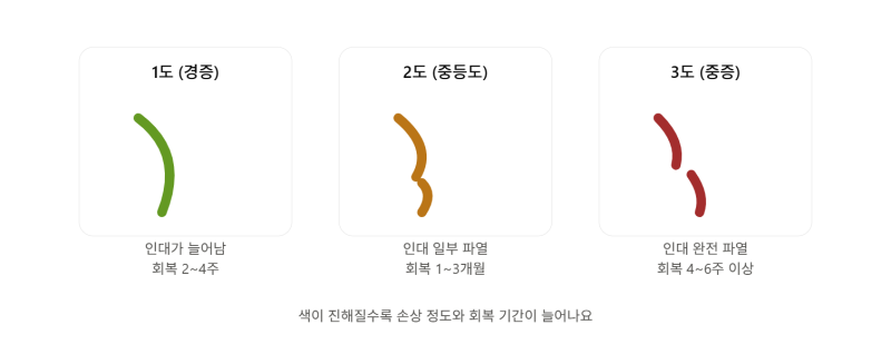 발목 인대 파열 실비 청구부터 재활운동까지 한 번에 정리
