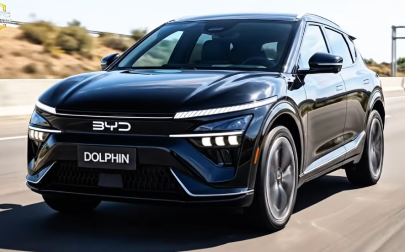 2027 BYD 돌핀, 중국 출시 이대로 들어오면 EV5 취소