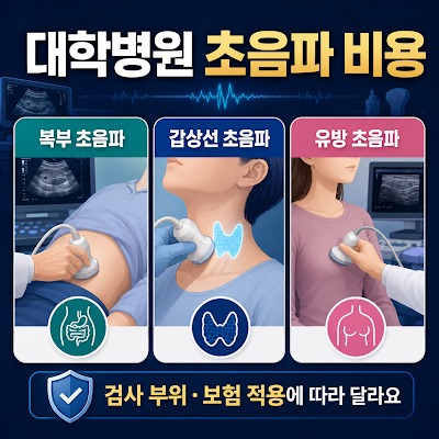 대학병원 초음파 검사 비용은 얼마인가요?｜복부·갑상선·유방 초음파 비교