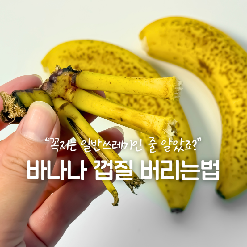 바나나 껍질 음쓰 맞을까? 음식물쓰레기 분리배출 방법