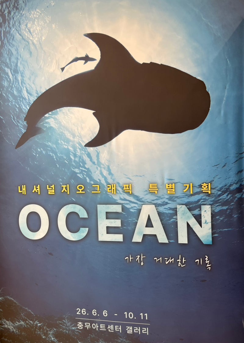 서울 아이와 가볼만한 전시｜내셔널지오그래픽 OCEAN, 태교 데이트로 다녀온 후기
