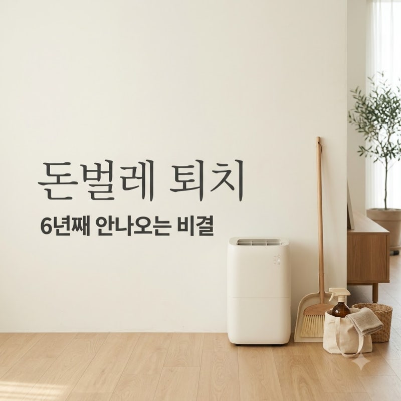 "약만 뿌려도 소용없다".. 돈벌레퇴치, 6년째 안 나오게 만든 비결 3가지