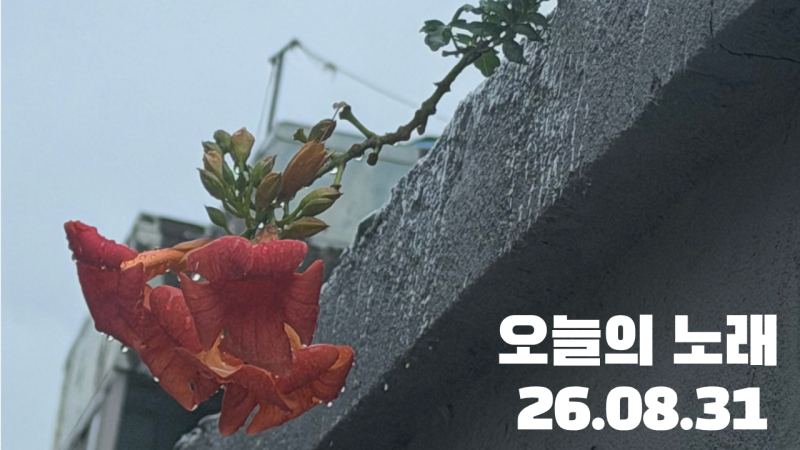 오늘의 노래 26.08.31