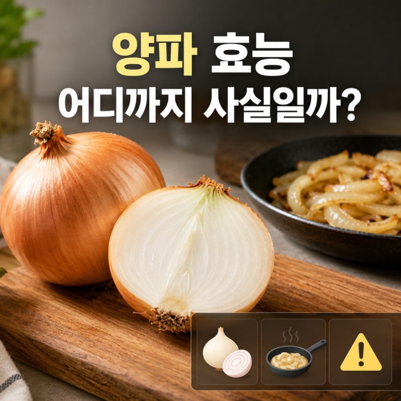 양파 효능은 어디까지 사실일까? 생양파·익힌 양파 차이와 부작용