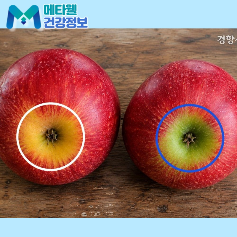 사과 오래 보관하는 법과 갈변 막는 요령