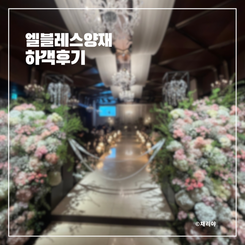 양재역 웨딩홀 엘블레스 하객 후기｜주차부터 홀 분위기, 뷔페까지 솔직후기
