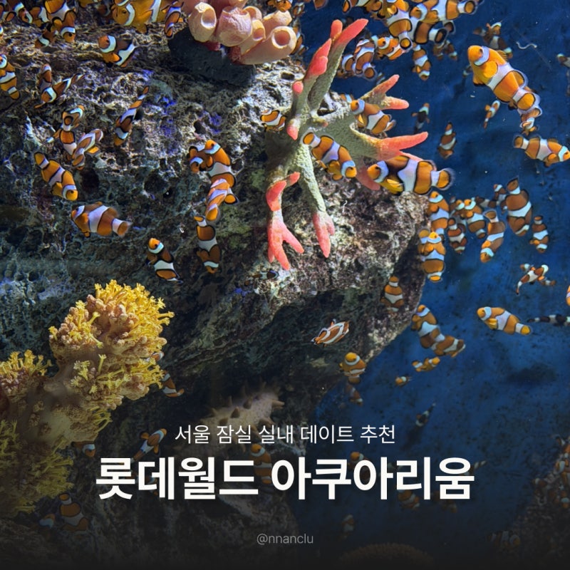 잠실 롯데월드 아쿠아리움 | 벨루가 카피바라 보고 온 서울 실내 데이트 추천 할인 정보