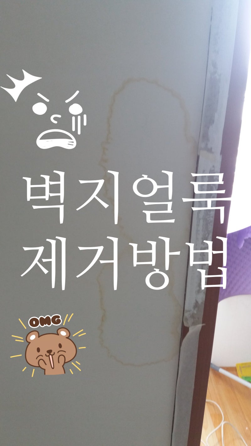 벽지 얼룩/기름때/낙서 제거 방법