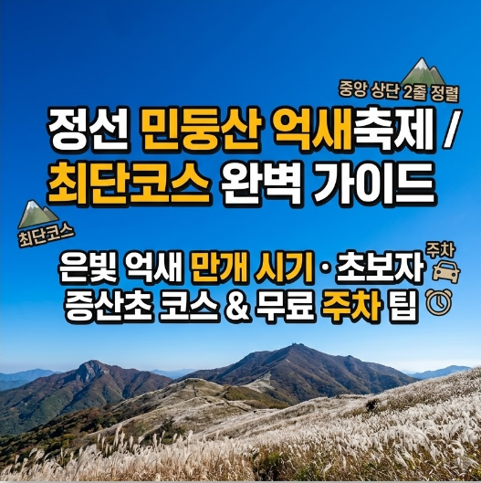 2026 정선 민둥산 억새축제 완벽 가이드!최단 등산코스 소요시간.만개 시기 & 주차 꿀팁 총정....