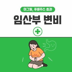 임산부 변비 마그밀부터 푸룬주스까지, 직접 먹어본 후기