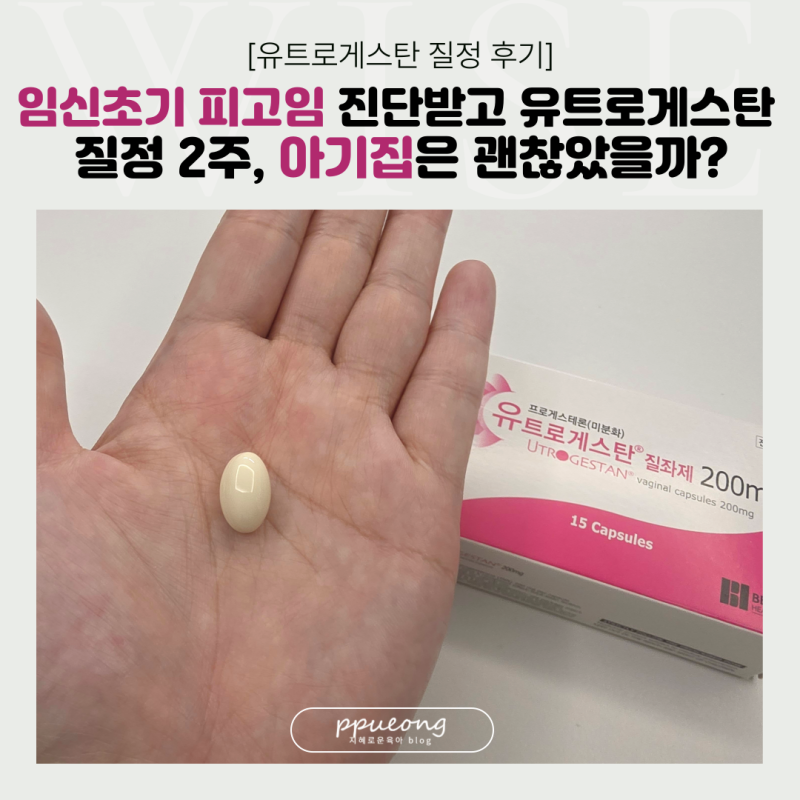 임신초기 피고임 진단받고 유트로게스탄 질정 2주 넣어본 후기, 아기집은 괜찮았을까?