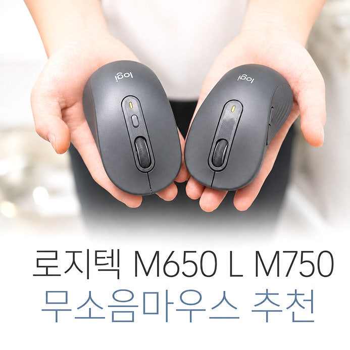무소음마우스 로지텍 M650 L M750 써보니, 무선마우스 추천 이유는?