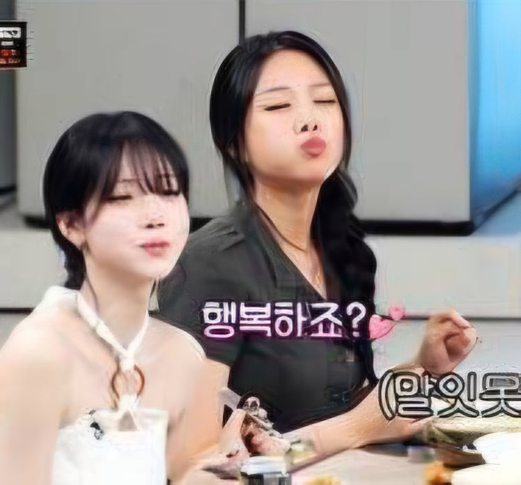 냉장고를 부탁 부탁해 김나경 비비 현실 자매 케미 폭발 매운맛도 거뜬한 특별한 자매 이야....