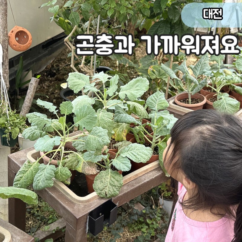 "곤충과 가까워지는 시간 30분!" 대전 한밭수목원 곤충생태관 관람 및 주차 정보