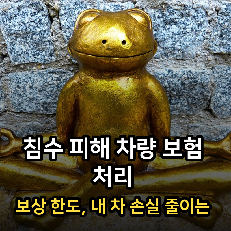 침수 피해 차량 보험 처리·보상 한도, 내 차 손실 줄이는 핵심 절차 5단계