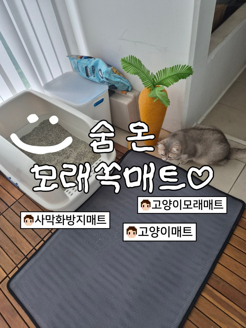 [리뷰] 고양이 두마리 집사 추천 고양이 화장실 매트 모래날림 줄여준 숨온 모래쏙 매트 솔직....