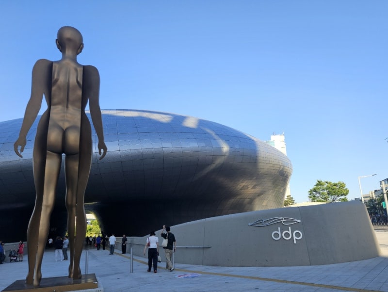 서울라이트 DDP 2026 가을 축제 일정과 라인업, 동대문 밤과 빛