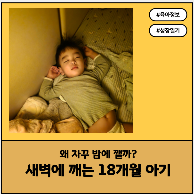 18개월 아기 밤에 깨는 이유, 자다가 갑자기 우는 이유 직접 겪어보니