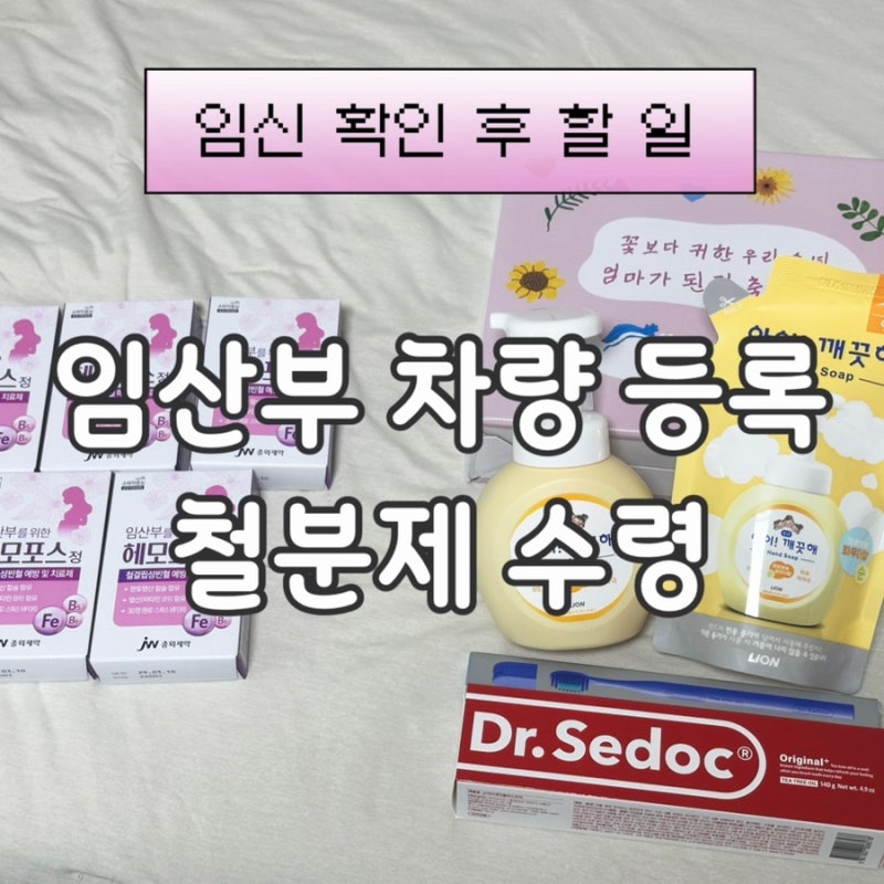 관악구보건소 임산부 차량등록 주차표지 철분제 수령 후기