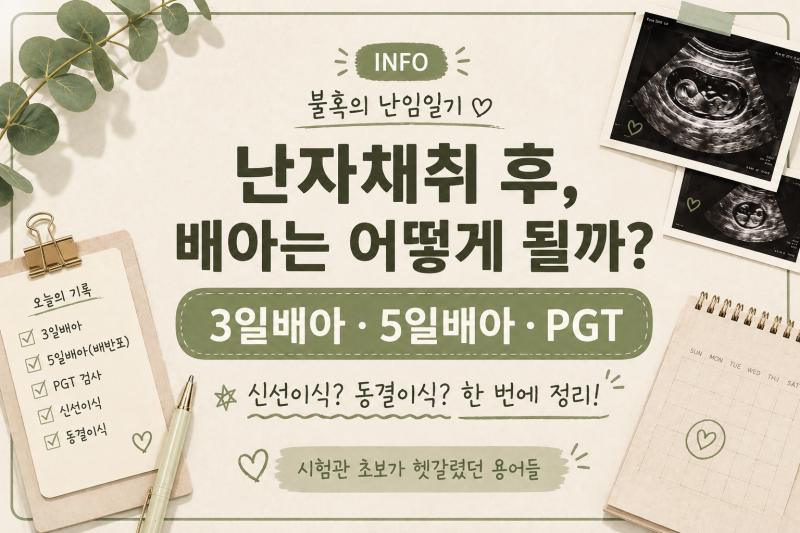 상봉마리아 시험관정보｜3일·5일배아부터 PGT·신선이식에서 동결이식까지