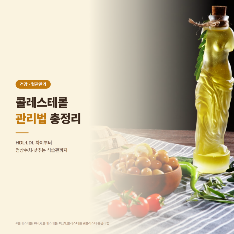 콜레스테롤 정상수치와 HDL LDL 차이, 낮추는 관리법 총정리