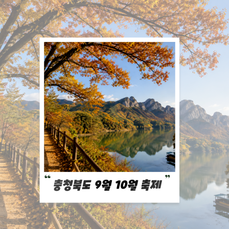 2026 충북 축제9월 10월 여행 코스 추천! 청주·괴산·영동·제천 대표 행사 Top 5
