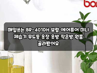 매일쓰는 BR-401DH 보랄 에어퓨어 미니 제습기 무드등 옷장 옷방 작은방 원룸 골라봤어요