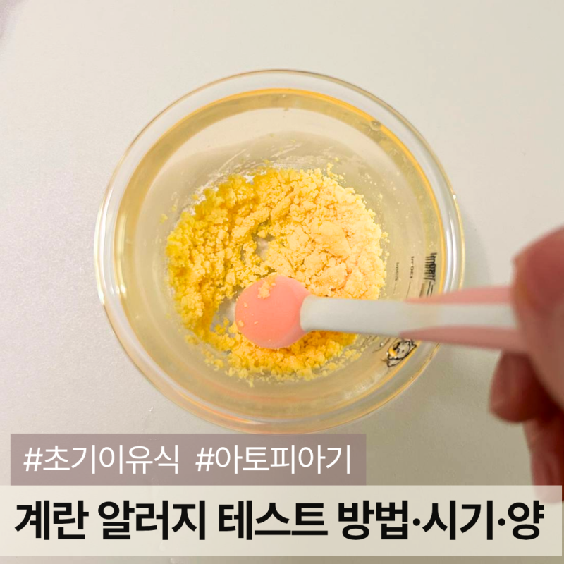 초기 이유식 계란 알러지 테스트 언제·양·방법 | 아토피 아기 성공 후기