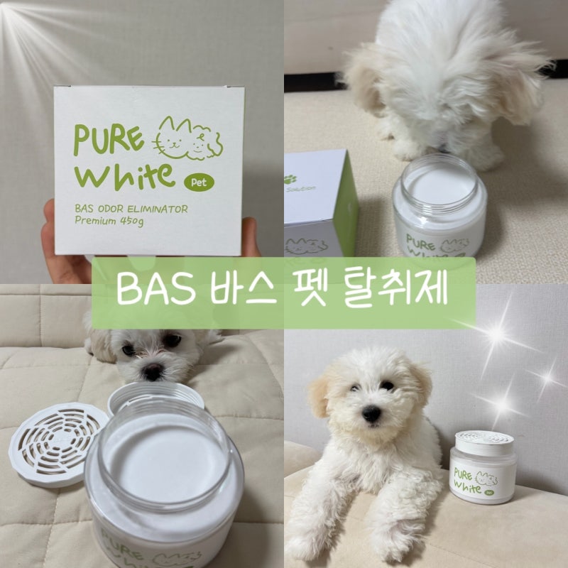 강아지 탈취제 추천 국민 탈취제 BAS 바스 퓨어 화이트