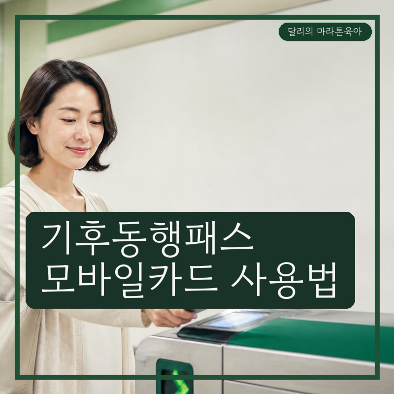 기후동행패스 모바일카드 사용법, 첫 태그부터 확인하기