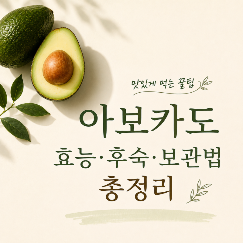아보카도 효능 후숙 보관법 총정리 맛있게 먹는 꿀팁