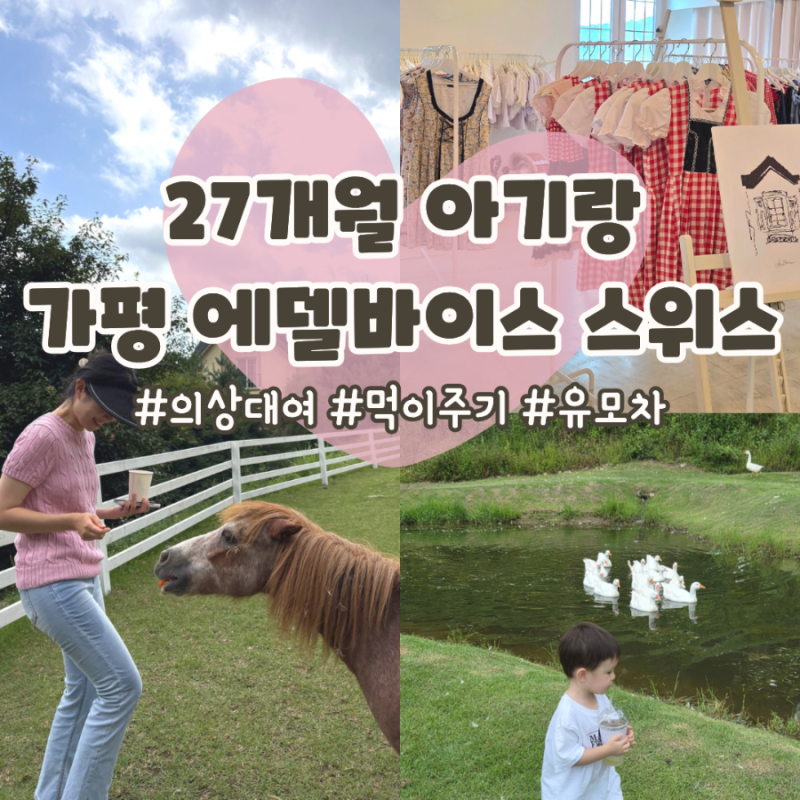 가평 에델바이스 스위스 아기랑 방문 후기! 입장료 100% 환급 꿀팁 & 주차, 유모차 팁