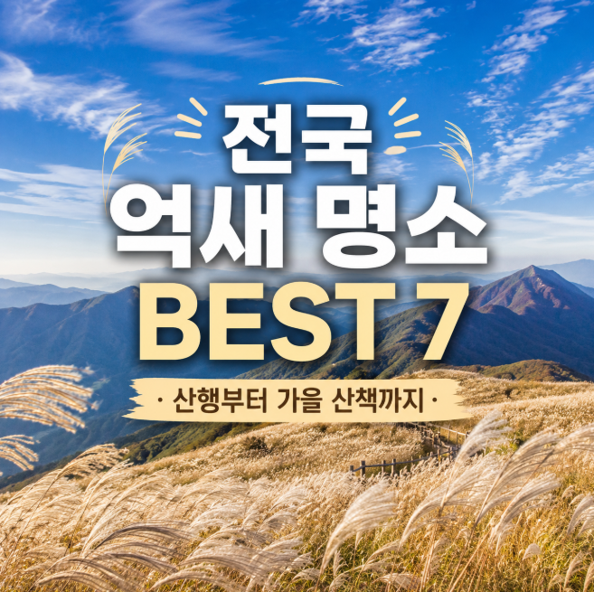 가을엔 여기 꼭 가보고 싶어요, 전국 억새 명소 BEST 7
