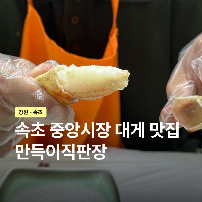 속초중앙시장 대게포장 찐맛집 찾음! 만득이직판장 대게찜 솔직후기