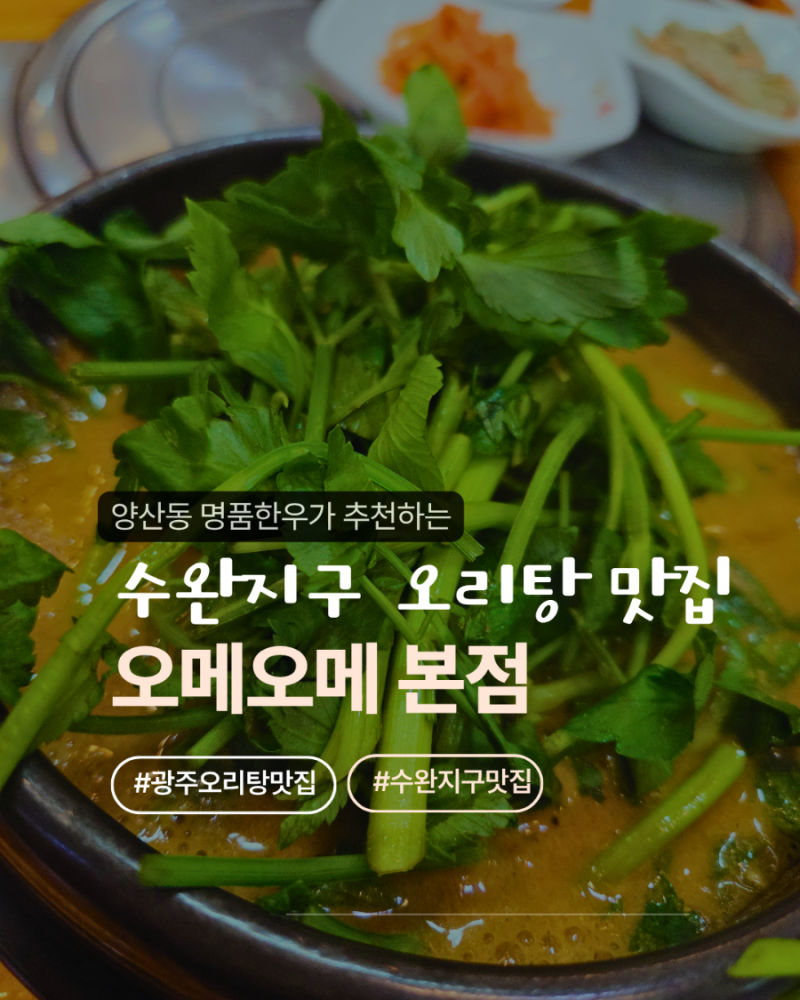 광주 오리탕 맛집 에서 맛있게 먹고온 후기 | 수완지구 오메오메 본점