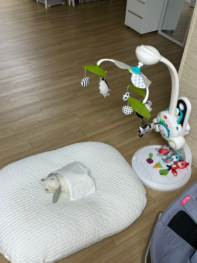 임신 29주차 일상/ 아기 용품 구매 시작 (트립트랩, 뉴본, 베이비, 타이니모빌, 베이비뵨 아기....
