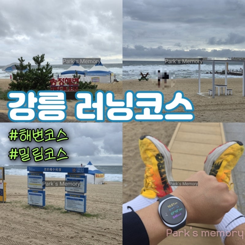 강릉 러닝 코스 10km 송정해변 강문해변 경포해수욕장