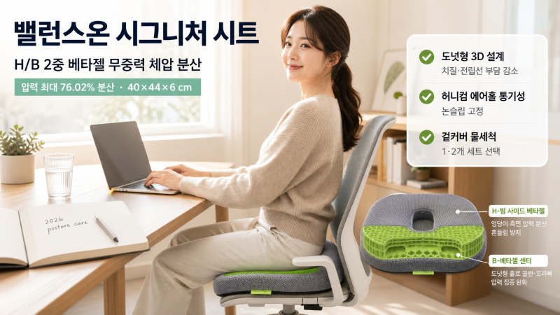 밸런스온 기능성 시그니처 시트 치질 자세교정 도넛 엉덩이 꼬리뼈 방석 총정리
