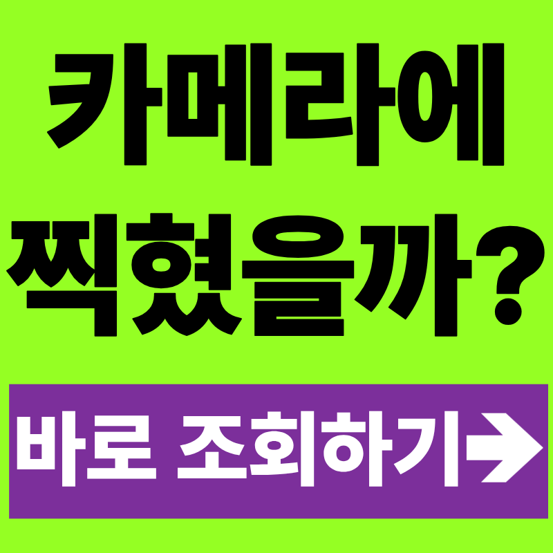 차량번호 과태료 조회 실시간 확인 방법(교통민원24, 납부)