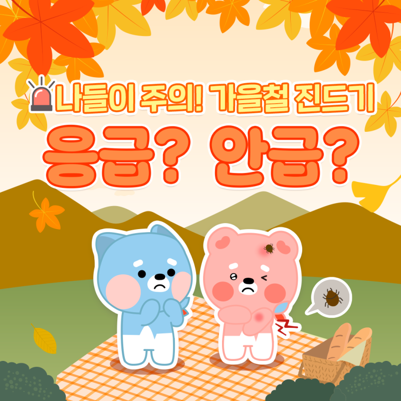 응급? 안급?｜나들이 주의! 가을철 진드기 편